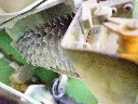 216629_017.webp